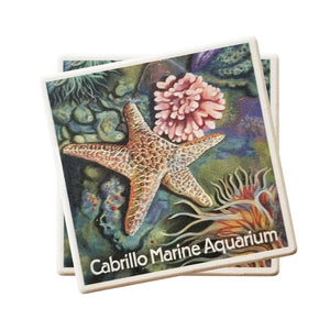 Sea Star and Sea Anemones Coaster