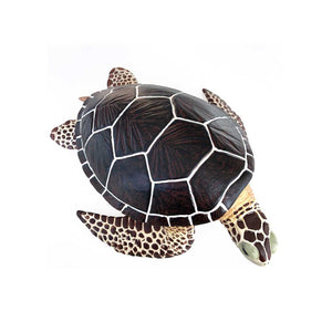 Sea Turtle by Safari