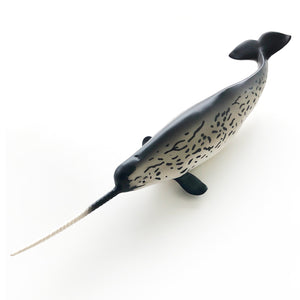 Narwhal by Safari