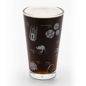 Plankton Beer Glass